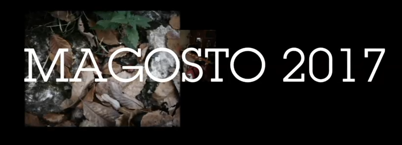 MAGOSTO 2017